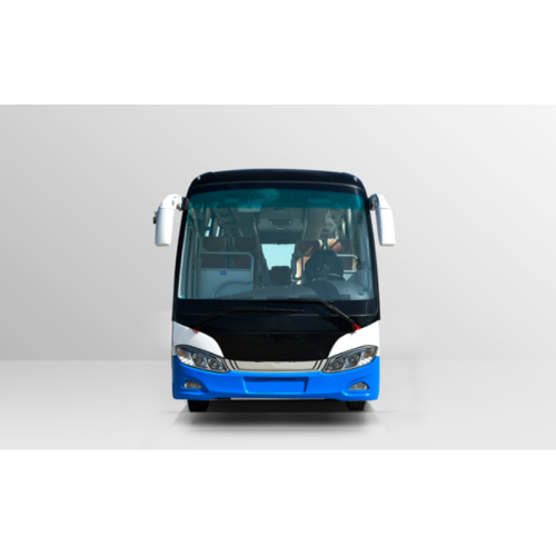 30 vende autobusi turistik elektrik